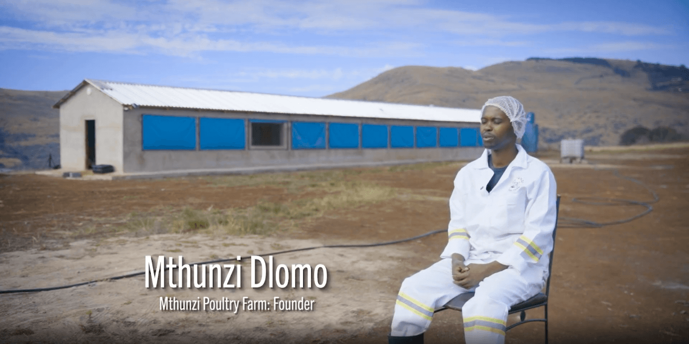 Mthunzi Poultry Farm