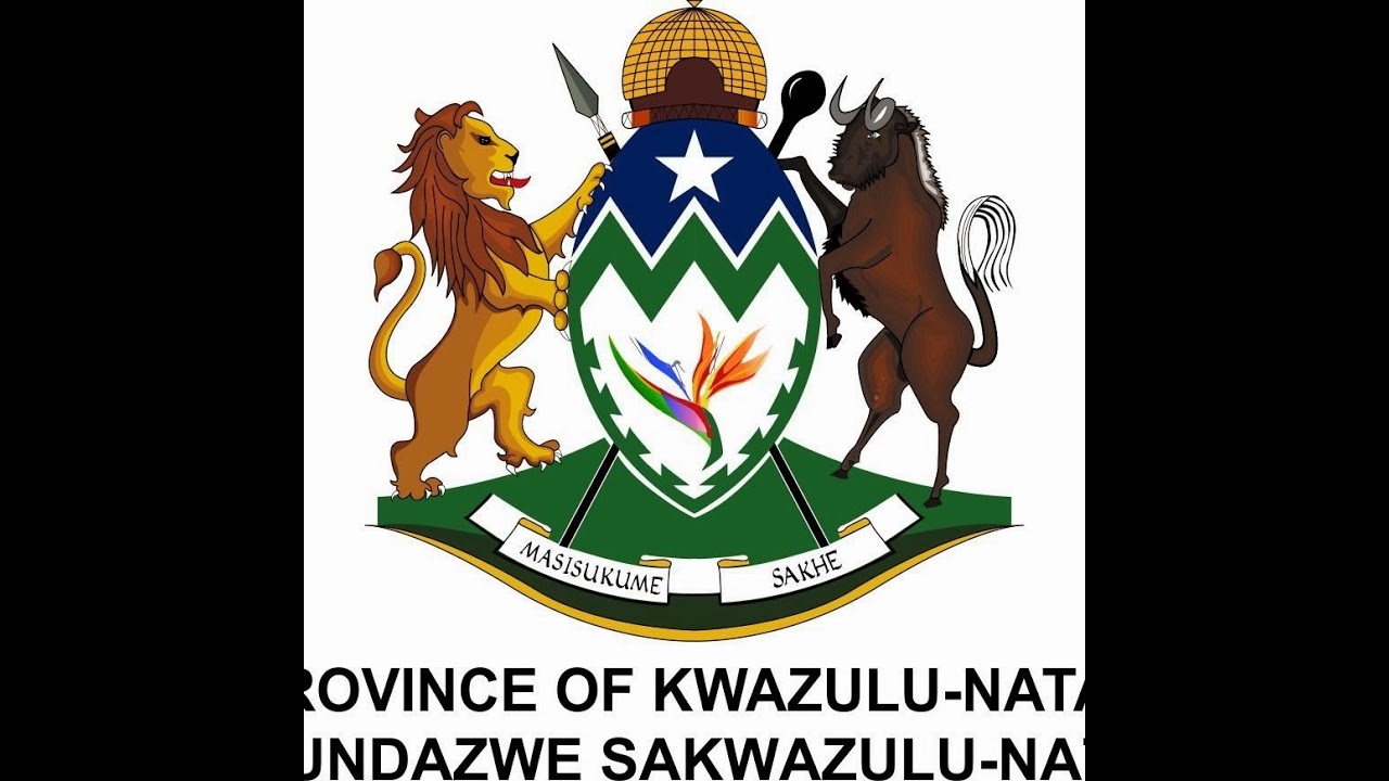 KwaZulu-Natal is taking bold steps to support youth-owned businesses