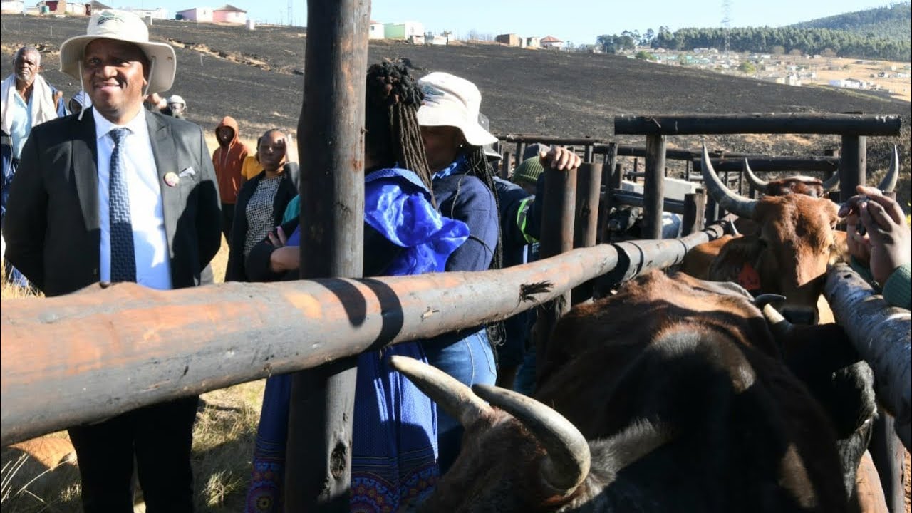 KwaZulu-Natal Provincial Government Funding Boosts Umzimkulu Wool Grower Associations